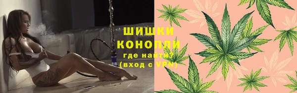 прущие грибы Горно-Алтайск