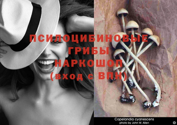 амфетамин Горнозаводск