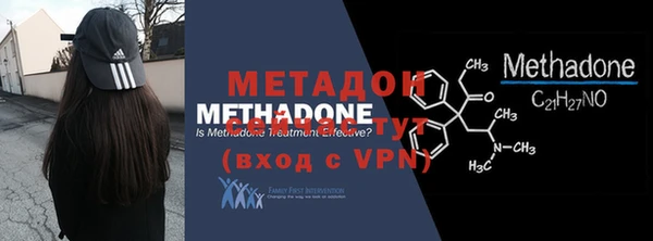 прущие грибы Горно-Алтайск