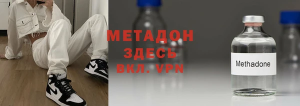 прущие грибы Горно-Алтайск