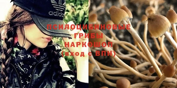 марки nbome Горняк