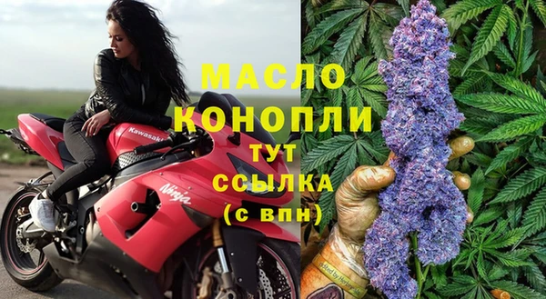 прущие грибы Горно-Алтайск