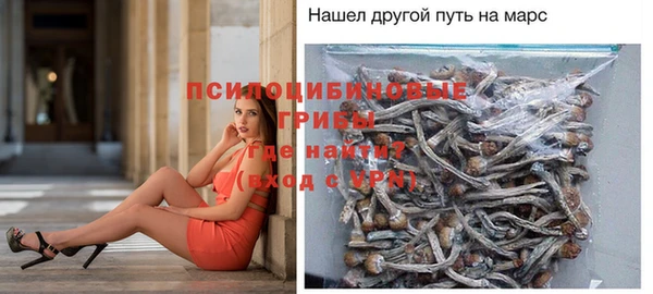 прущие грибы Горно-Алтайск