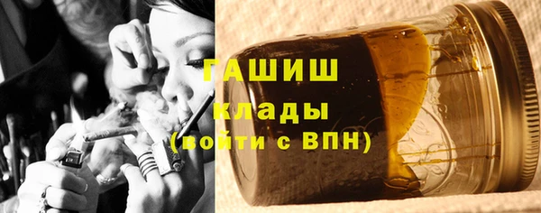 прущие грибы Горно-Алтайск