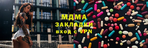 прущие грибы Горно-Алтайск
