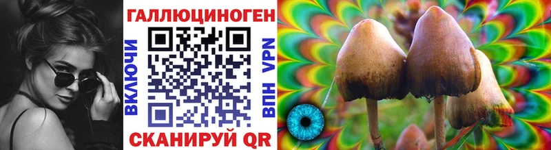 наркошоп  дарк нет телеграм  Псилоцибиновые грибы GOLDEN TEACHER  Тольятти 